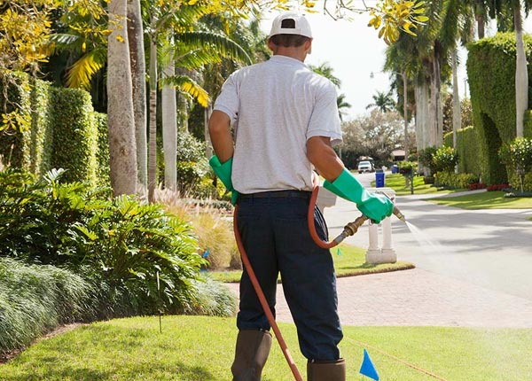 About Alma WV Pest Control